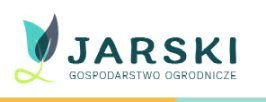 sadzonka borówka amerykańska
